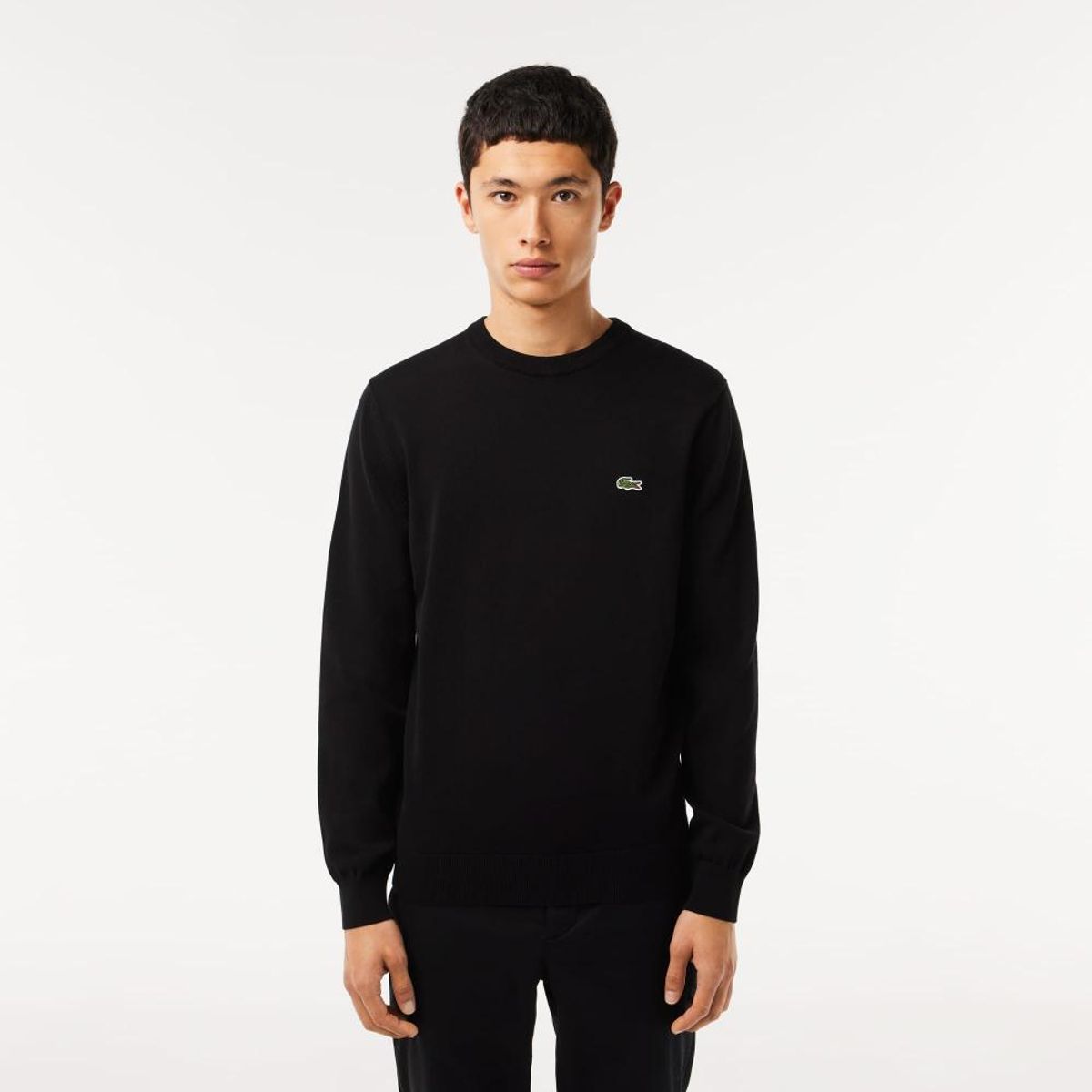Sweater Cuello Redondo Hombre Lacoste AH1985